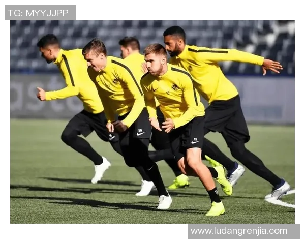 格勒诺布与斯特拉斯对决前瞻及比分预测分析